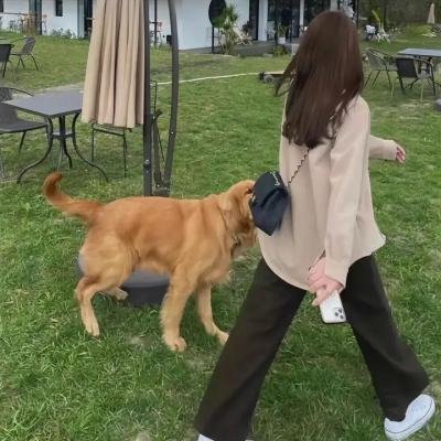 第三次浪潮